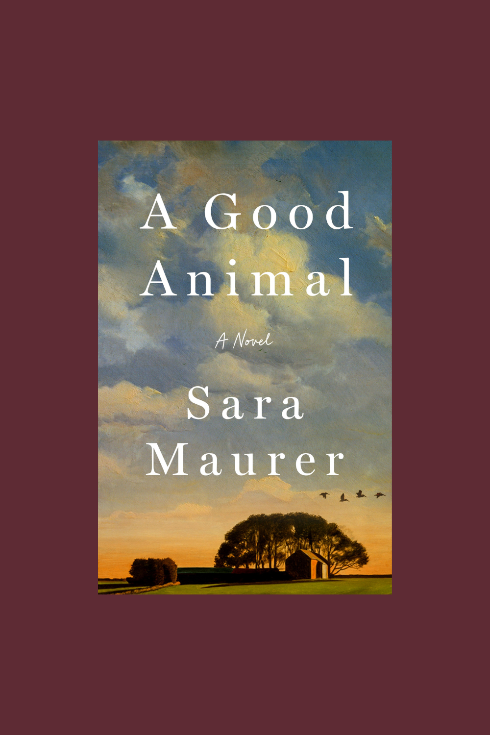 A Good Animal by Sara Maurer | A Coming of Age Novel